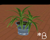 *B Plant 3