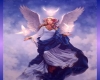picture angel