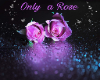 Only a rose bg