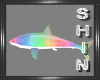Big Rainbow Shark