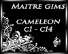 |S|Mtre Gims Cameleon