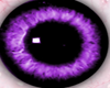 purple cat eyes