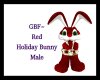 GBF~Red Bunny Avitar (M)