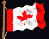 Canadian Animated Flag