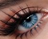 Eyes Blue Cat II