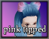 Pink tipped Blue hair