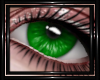 !T! Eyes | Nocturne G