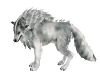 wolf gris