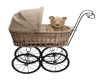 Baby carriage and bear