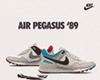 Air Pegasus 89 Poster
