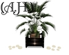 (A.H.) Country M Plant 2