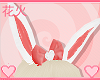 |HK| White Rabbit's Ears
