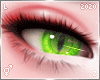 ヴ. Inu | Eyes L