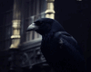 6v3| Black Crow in Dark