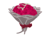 Pink rose sign - Libra