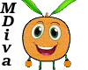 (MDiva)OrangeFruit  Male