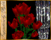 I~Romantic Roses