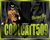 Coolcatt flasher banner