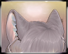 Sunset Ears V.3