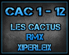 Les Cactus RMX