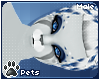 [Pets] Polar | hair v6
