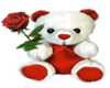 Red/White RoseBear Hug