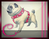 ~CS~ Doggie :Pink: