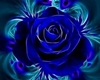Blue Rose Penthouse