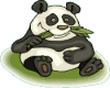 eating panda