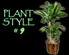 (IKY2) PLANT STYLE #9