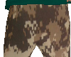M Sweats TRR