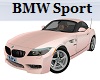 BMW Sport