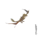 Flying Golden Dragon