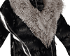 ★ Winter