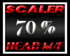 Scaler  Head 70%
