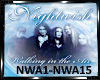 *Nightwish-Walking(Cov)