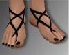 x3' Foot Harness
