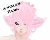 {S} Anima's Ears
