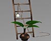 Country Lamp on Ladder