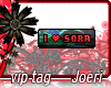 j| I  Sora