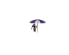 ~KMS~ Silk Umbrella