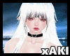 *Y* Neko Yuki