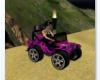 ~TQ~purple jungle jeep
