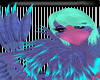 purple finch beak m/f