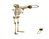 skelette trombone