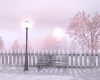 BACKYARD WINTER
