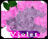 (V) roses V 3