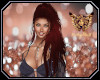 [ang]Angelfire Rachell