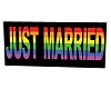 Just Married Banne