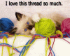 Kitten with yarn